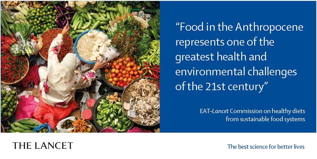 ICC's Statement on the EAT-Lancet Commission Report
