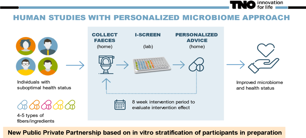 TNO Symposium: Optimising food and fibre composition for enhancing health | Highlights and Perspectives